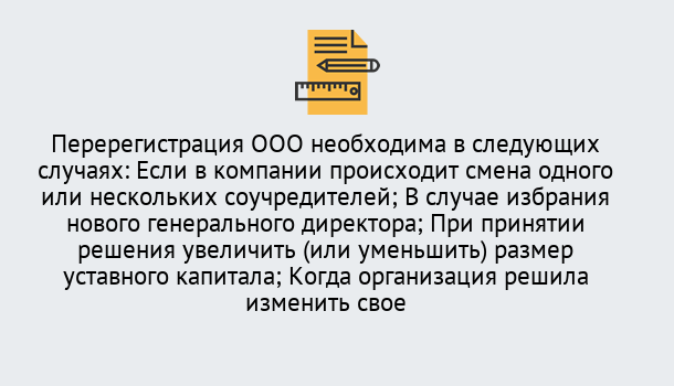 Почему нужно обратиться к нам? Шелехов Перерегистрация ООО: особенности, документы, сроки...  в Шелехов