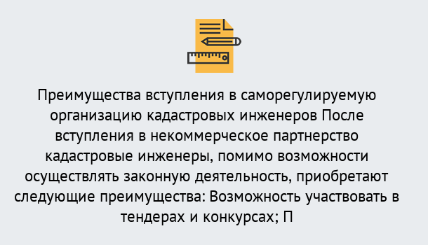 Почему нужно обратиться к нам? Шелехов Что дает допуск СРО кадастровых инженеров?