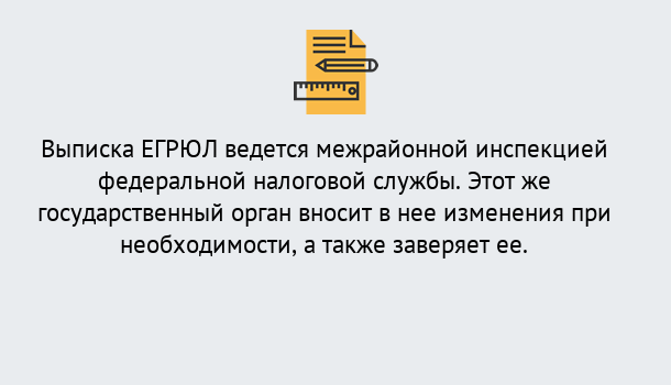 Почему нужно обратиться к нам? Шелехов Выписка ЕГРЮЛ в Шелехов ?