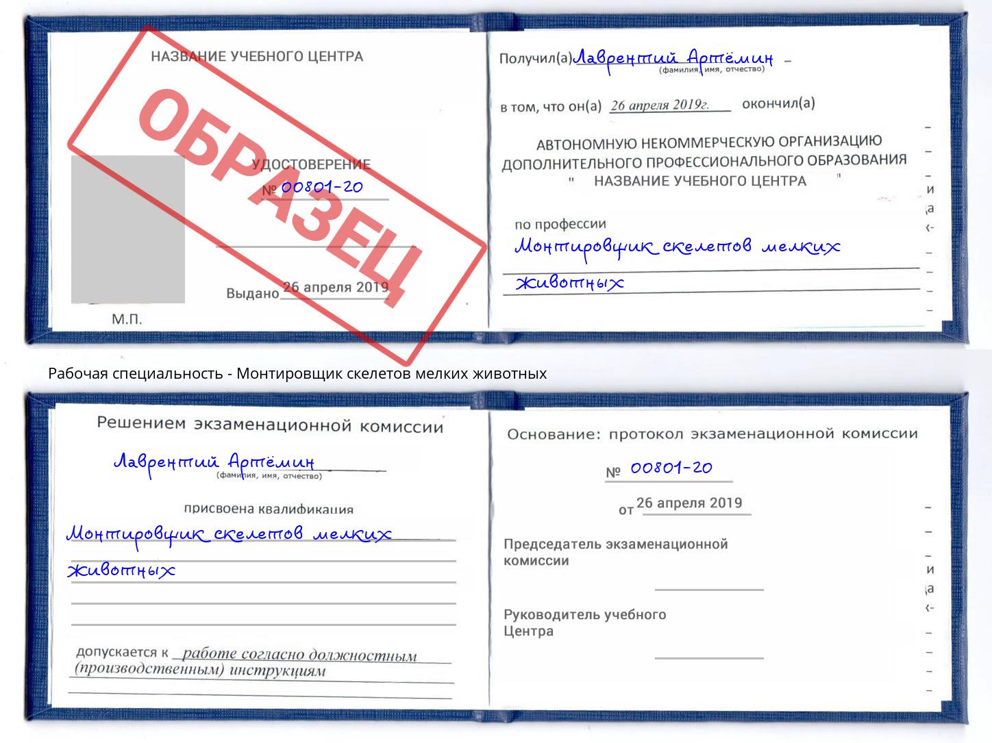 Монтировщик скелетов мелких животных Шелехов