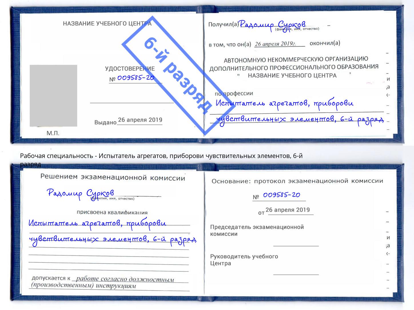 корочка 6-й разряд Испытатель агрегатов, приборови чувствительных элементов Шелехов