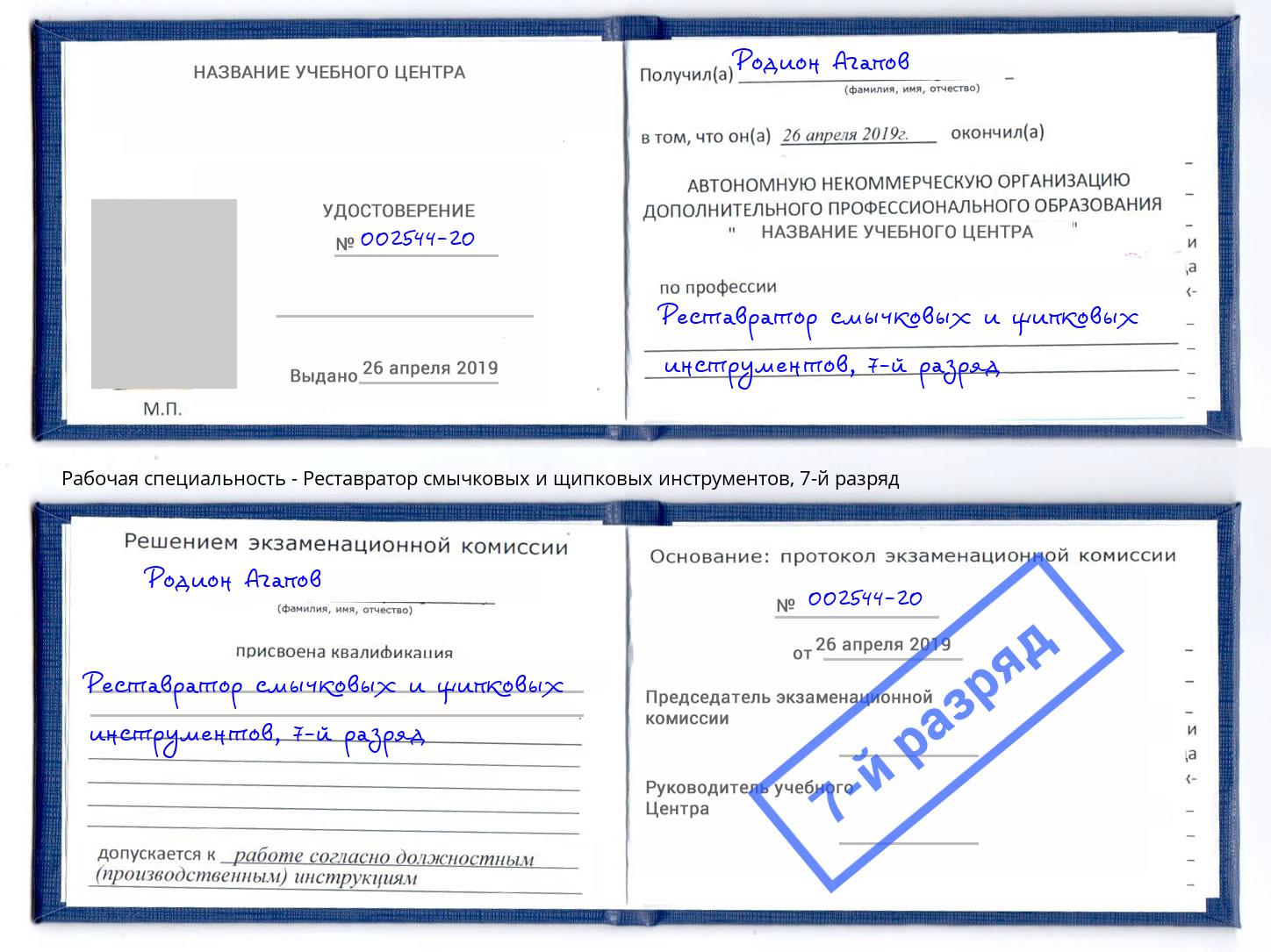 корочка 7-й разряд Реставратор смычковых и щипковых инструментов Шелехов